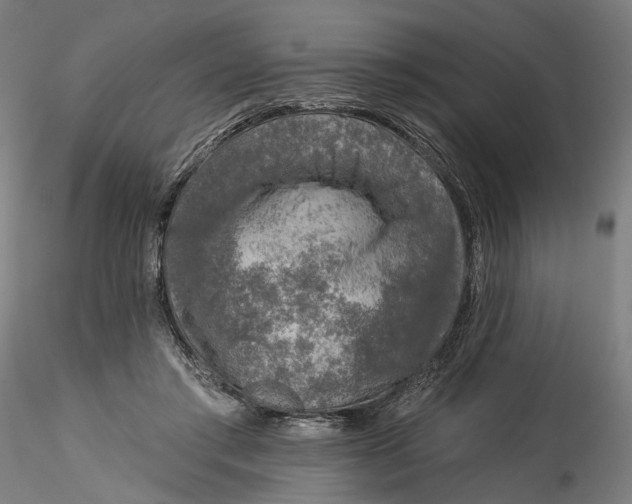 X0000115550405200911271438