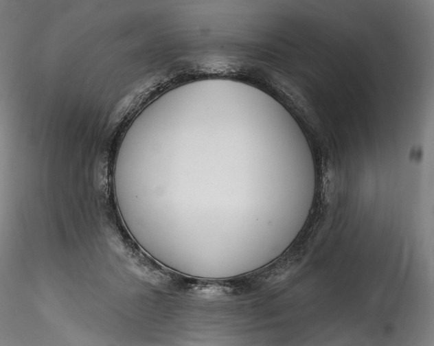 X0000115550407200911271438