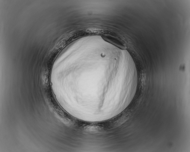 X0000115550408200911271438