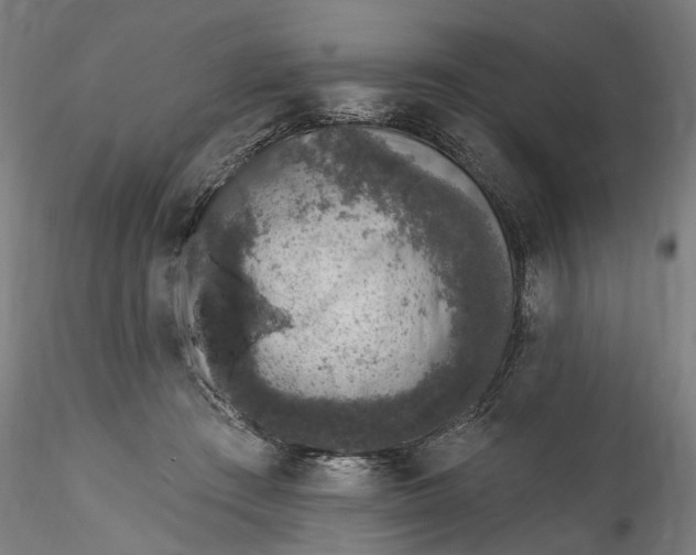 X0000115550409200911271438