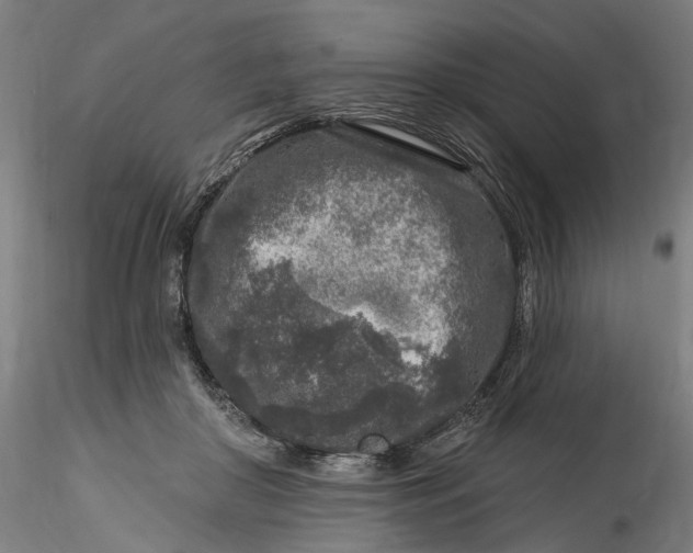 X0000115550410200911271438