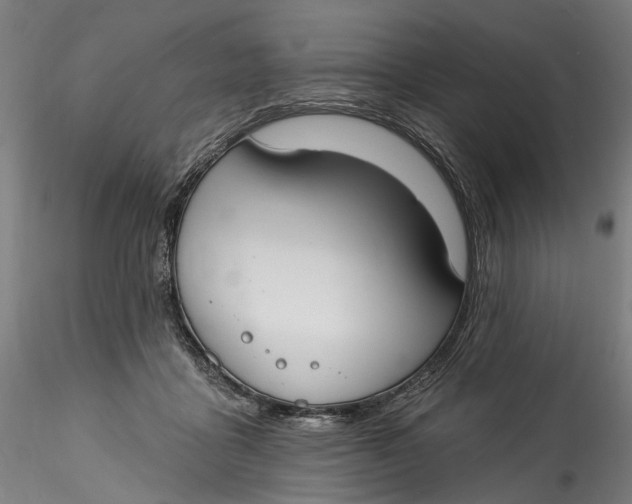 X0000115550411200911271438