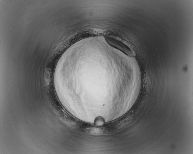 X0000115550412200911271438