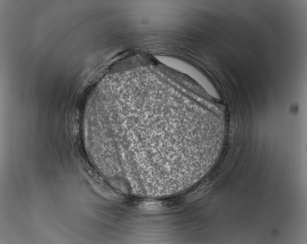 X0000115550413200911271438