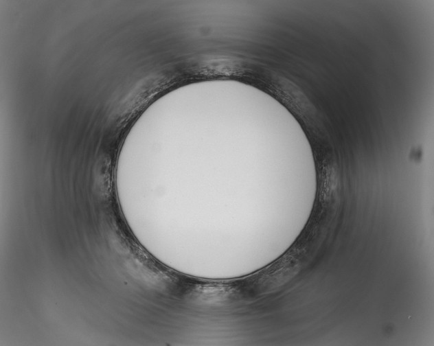 X0000115550414200911271438