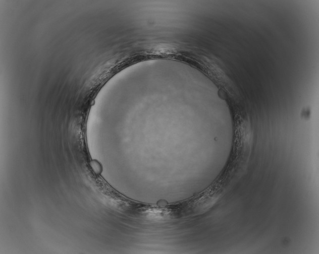 X0000115550415200911271438