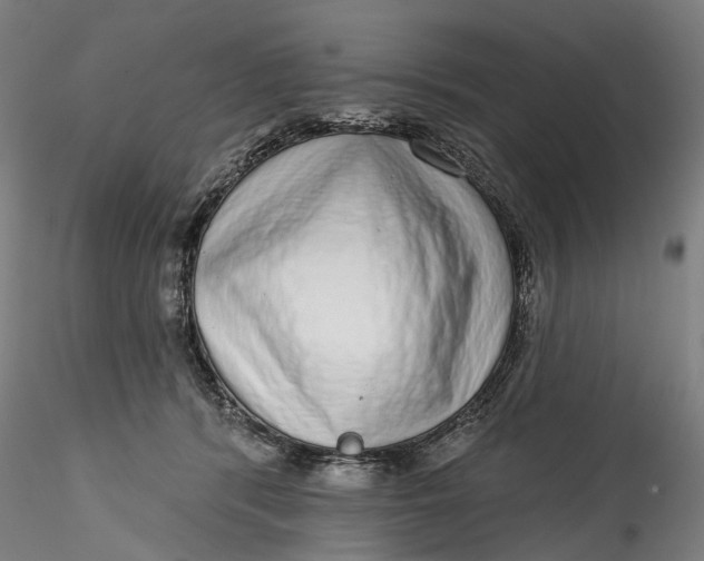 X0000115550416200911271438