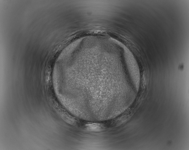 X0000115550417200911271438