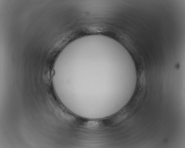 X0000115550418200911271438