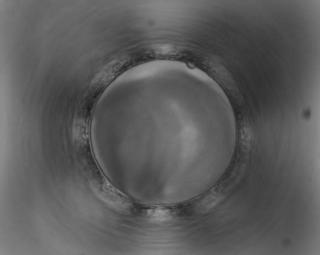 X0000115550419200911271438