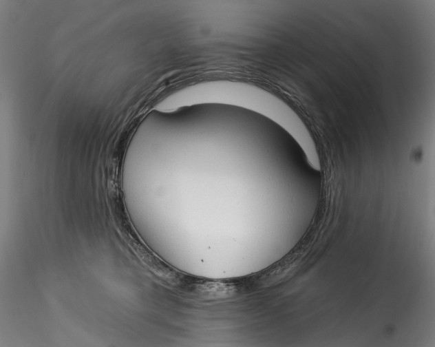 X0000115550421200911271438