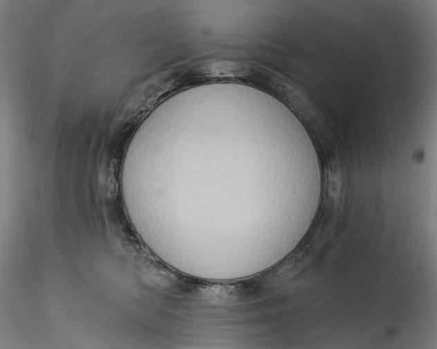 X0000115550422200911271438