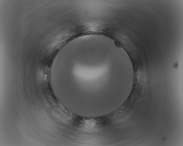 X0000115550423200911271438