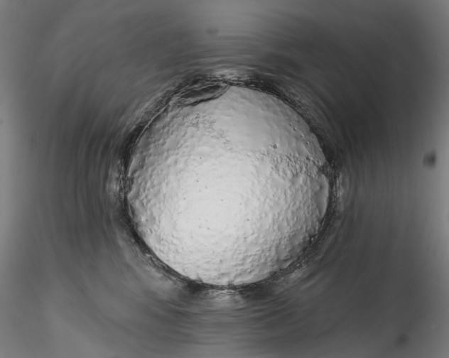 X0000115550424200911271438