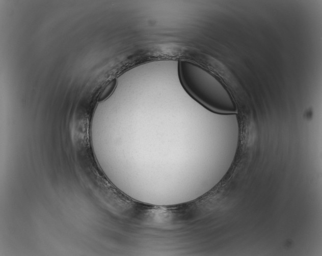 X0000115550425200911271438