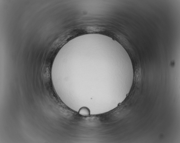 X0000115550426200911271438