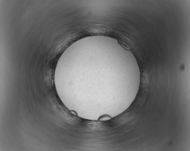 X0000115550428200911271438