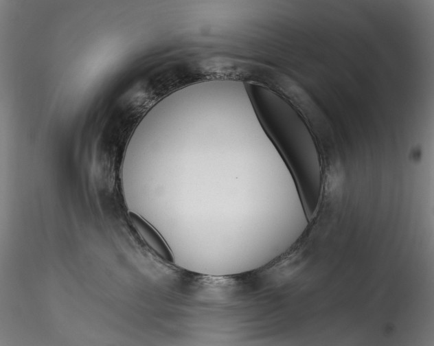 X0000115550429200911271438