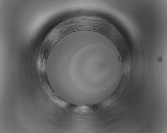 X0000115550431200911271438