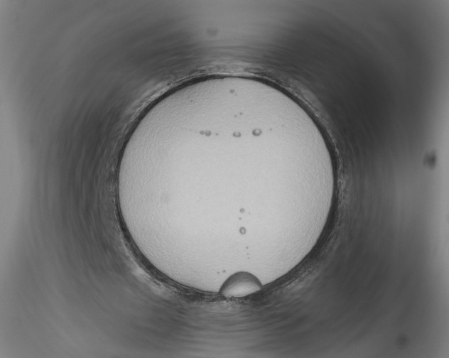 X0000115550433200911271437