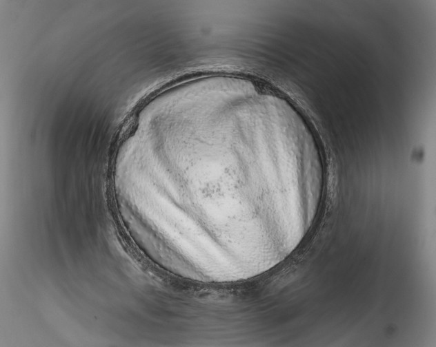 X0000115550434200911271437