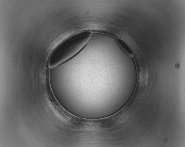 X0000115550436200911271437