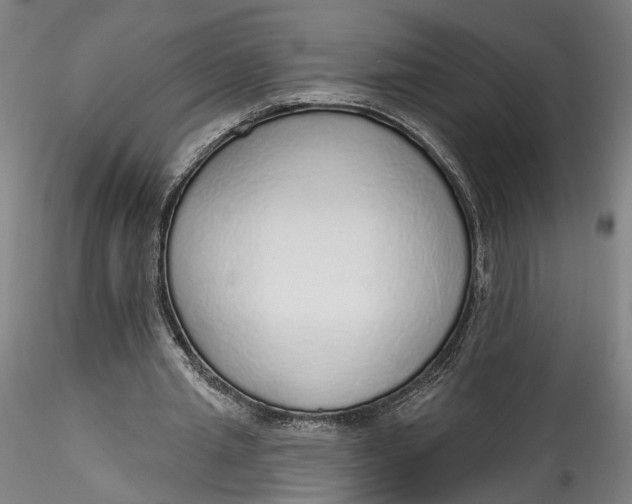 X0000115550437200911271437