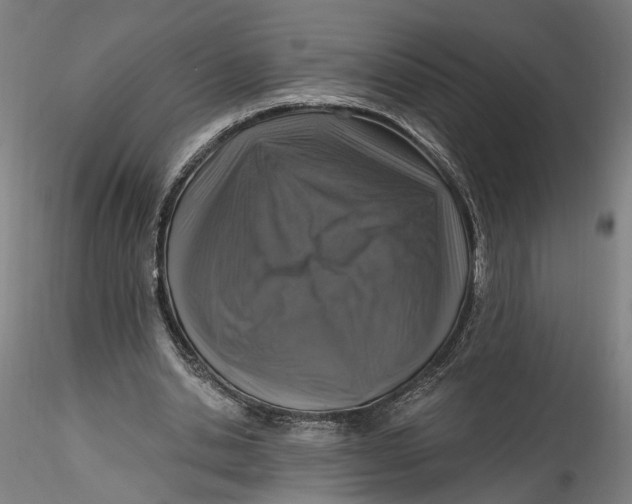 X0000115550438200911271437