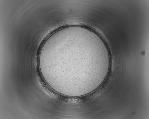 X0000115550439200911271437