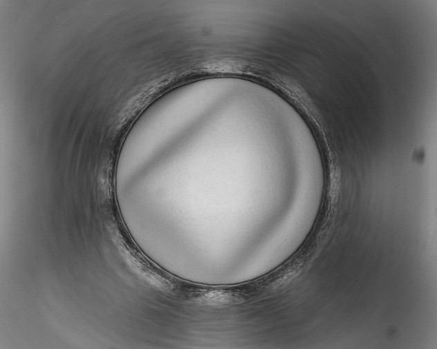 X0000115550441200911271437