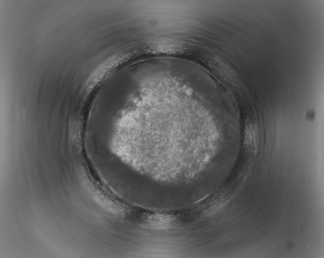 X0000115550444200911271437