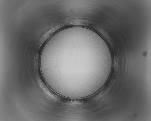 X0000115550445200911271437