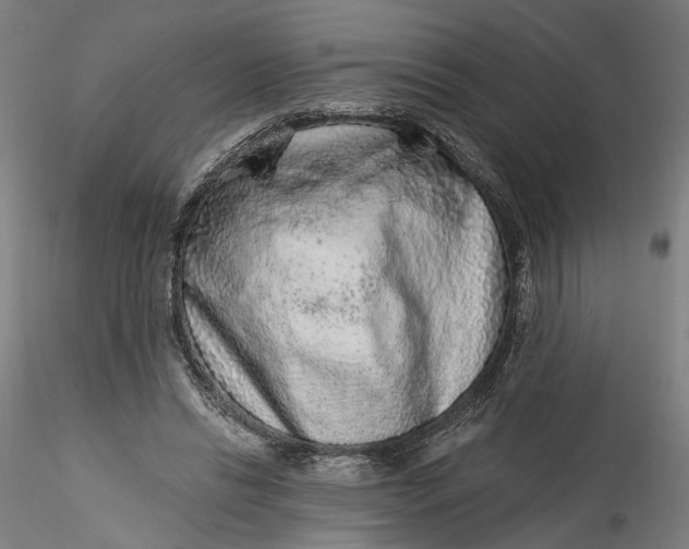 X0000115550446200911271437