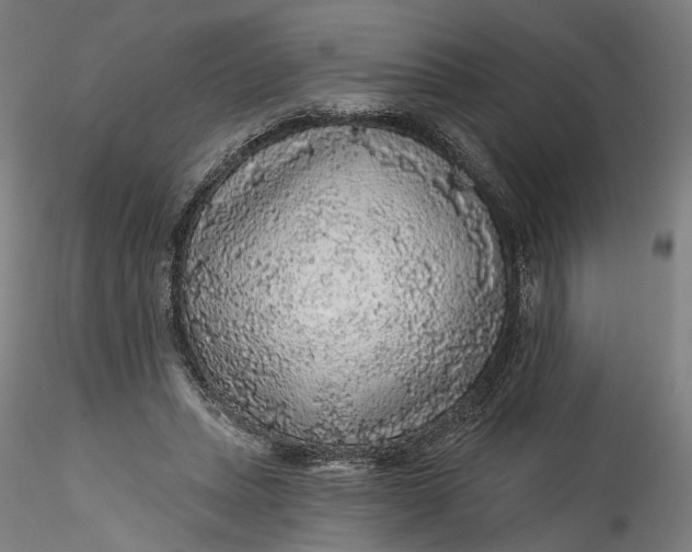 X0000115550447200911271437