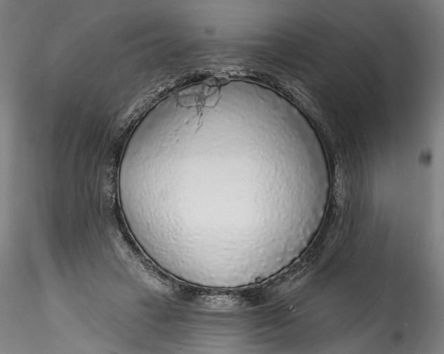 X0000115550449200911271437