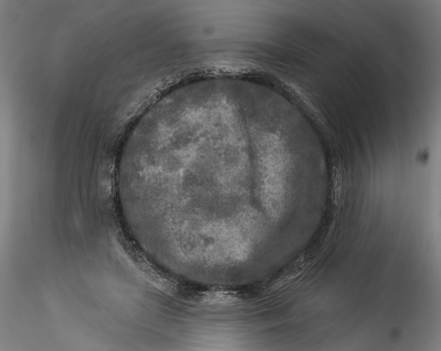 X0000115550451200911271437