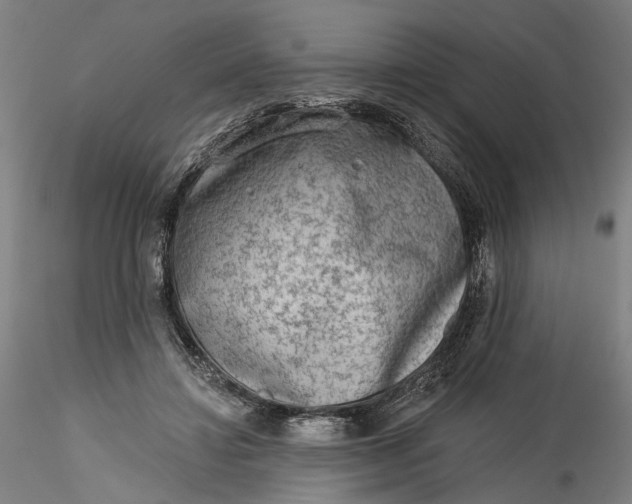 X0000115550452200911271437