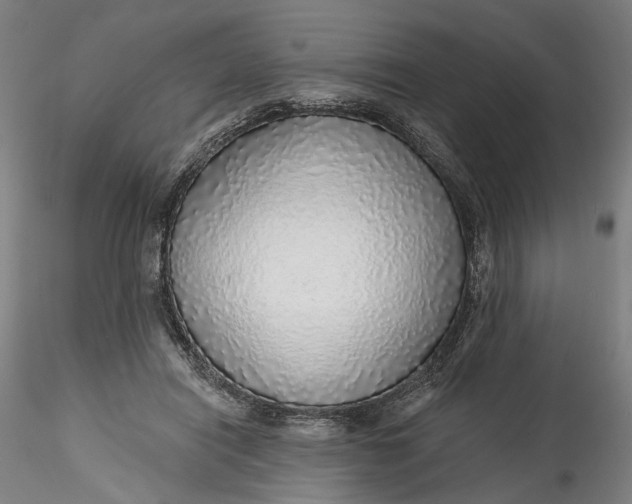 X0000115550454200911271437