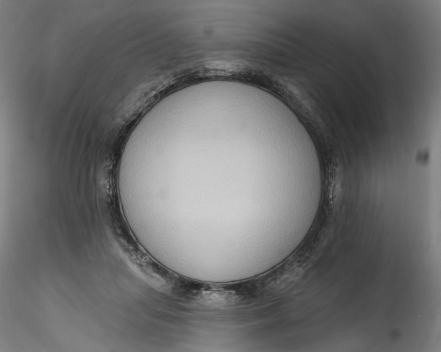 X0000115550455200911271437