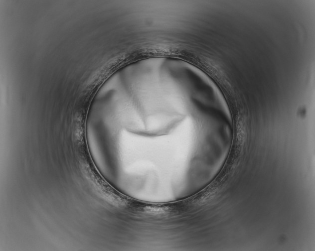 X0000115550457200911271437