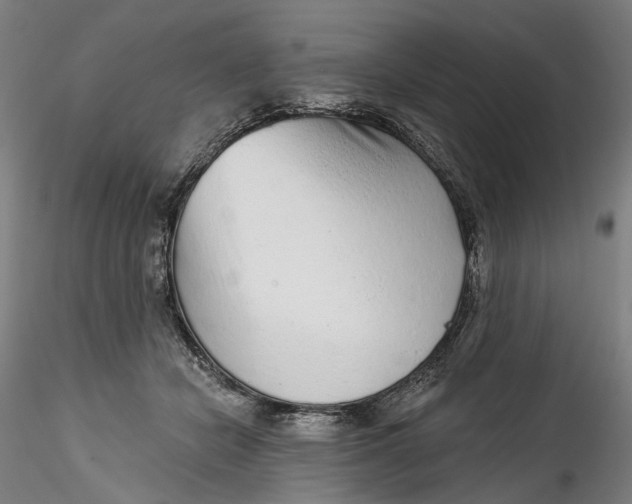 X0000115550462200911271437