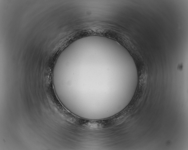 X0000115550464200911271437