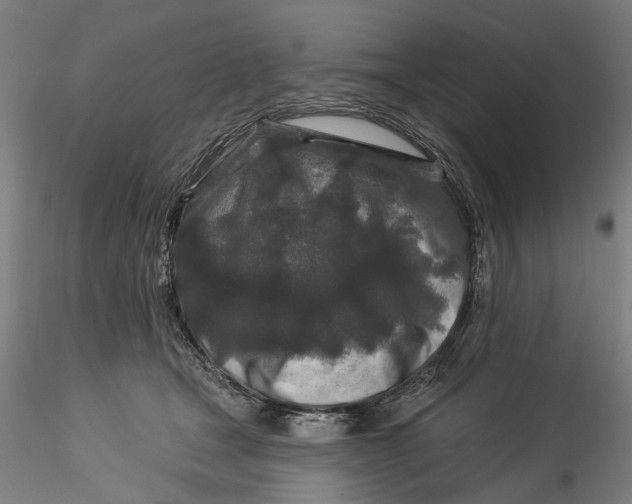 X0000115550465200911271437