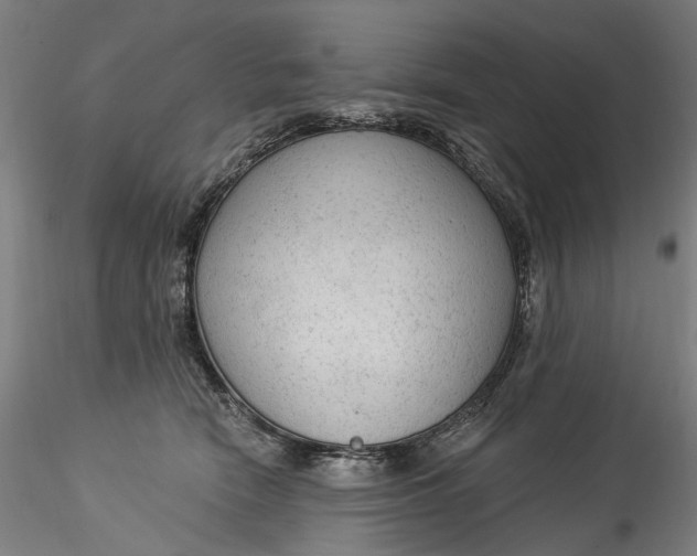 X0000115550466200911271438