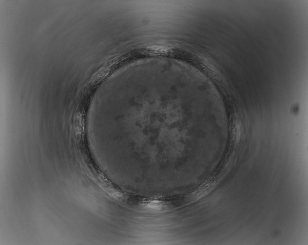 X0000115550467200911271438