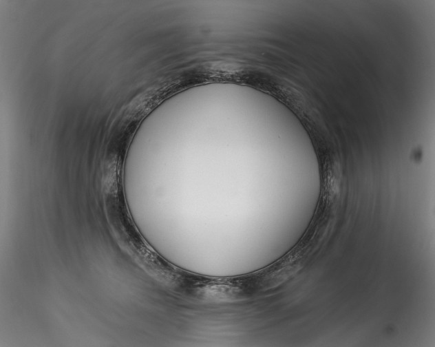 X0000115550468200911271438