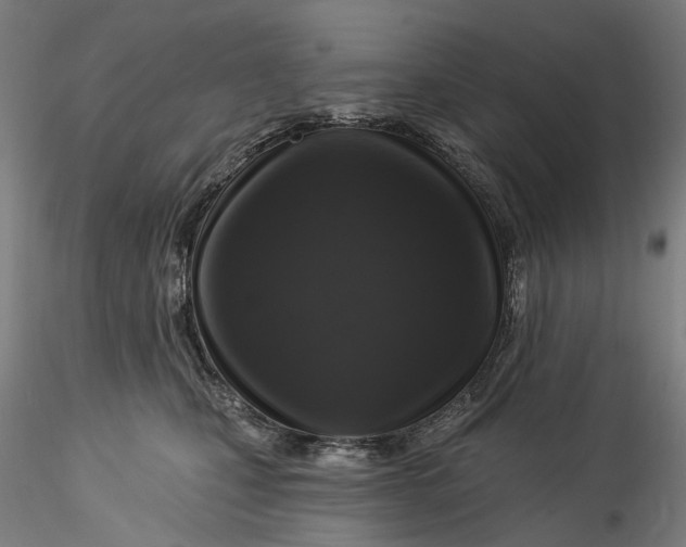 X0000115550471200911271438