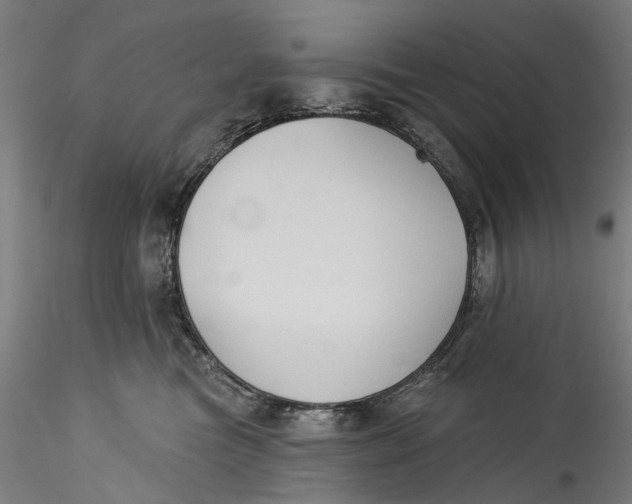 X0000115550473200911271438