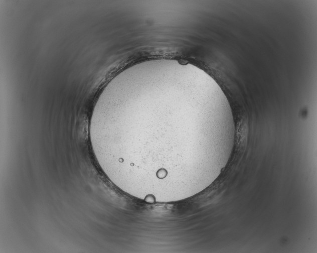 X0000115550474200911271438