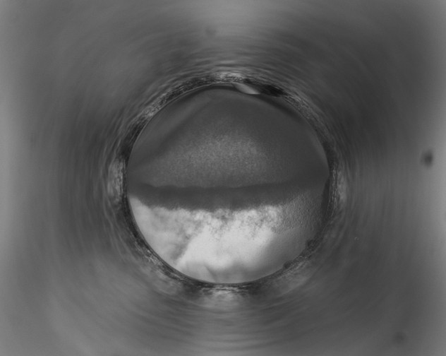 X0000115550475200911271438